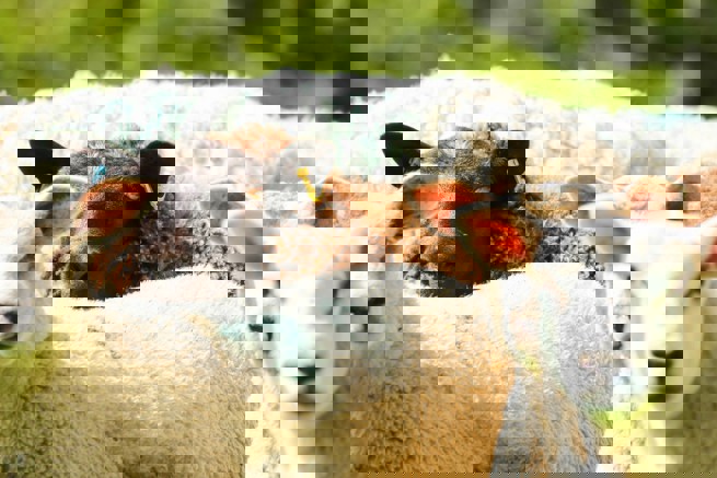 Casus: hoe je van merkpersoonlijkheid naar merktaal naar copywriting gaat